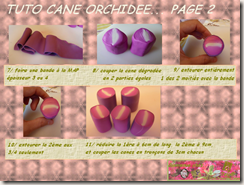 TUTO CANE ORCHIDEE PAGE 2