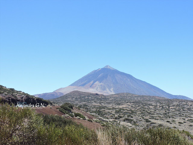 Hespérides | Humboldt, su paso por Tenerife