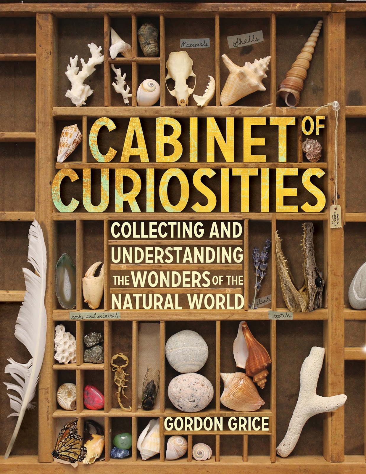 Skulls An Excerpt Of Cabinet Of Curiosities Forces Of Geek