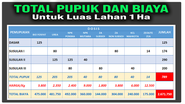 Panduan Pemupukan Padi Yang Benar dan Tepat dari Awal Sampai Akhir