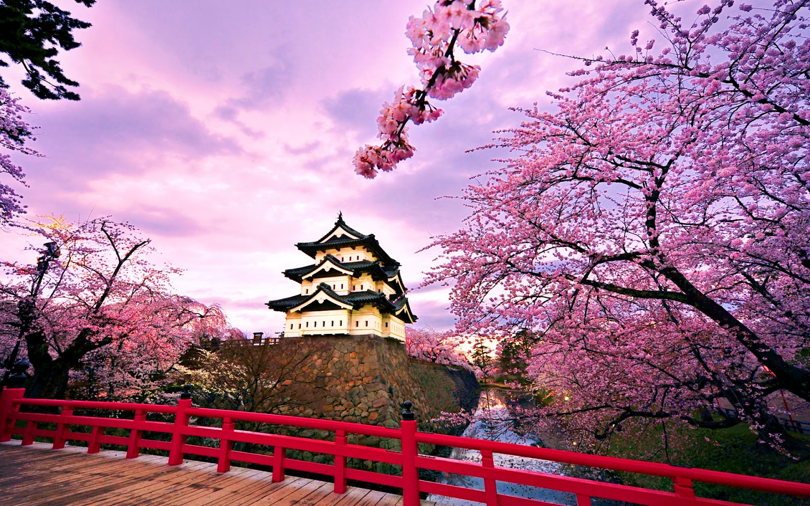 Ini 16 Taman Taman Terbaik di Negeri Sakura Jepang  