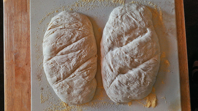 Homemade bread dough