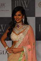 Bollywood, Hot, Actress, at, IIJW, Photos