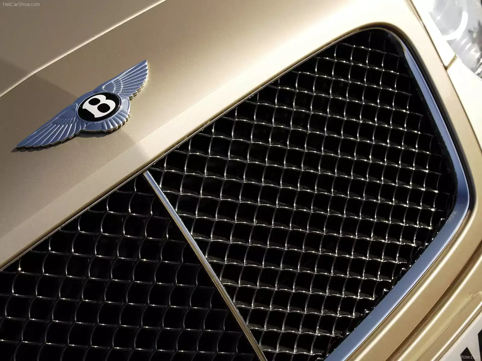 Hình ảnh xe ô tô Bentley Continental GT Speed 2008 & nội ngoại thất
