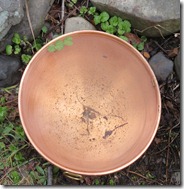 sacred well