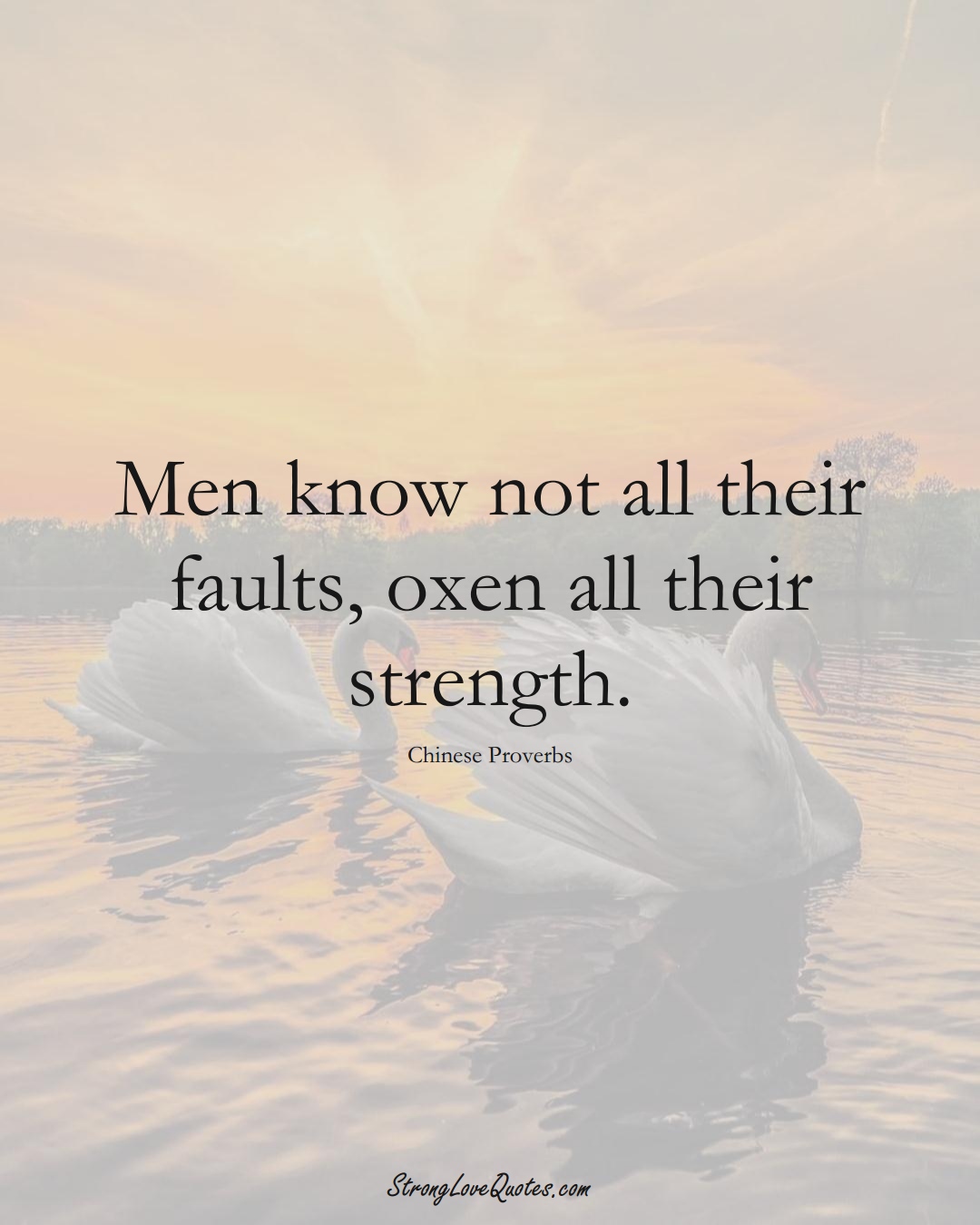 Men know not all their faults, oxen all their strength. (Chinese Sayings);  #AsianSayings