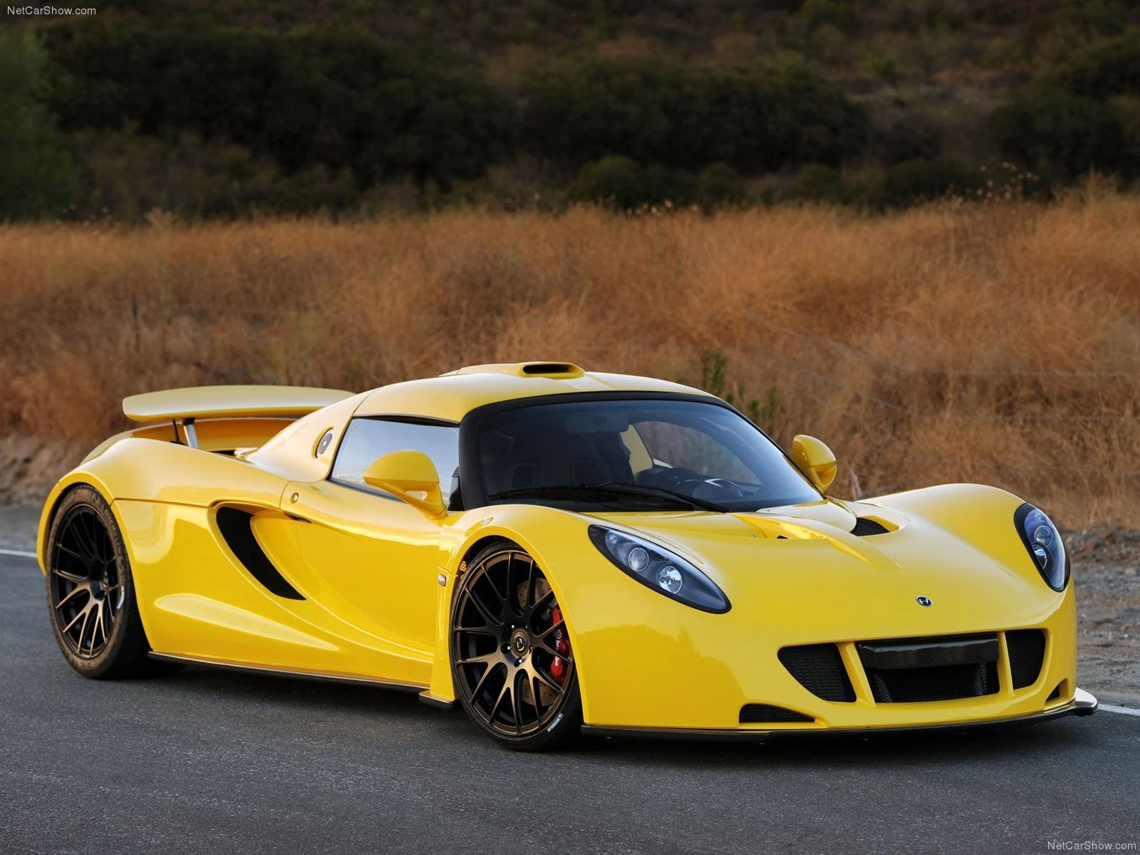 Hình ảnh siêu xe Hennessey Venom GT 2011 & nội ngoại thất