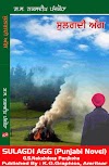 G.S.Nakshdeep Panjkoha's New Punjabi Novel - SULAGDI AGG