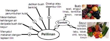 BAHAN PEMBELAJARAN SAINSBersama memahami sains 