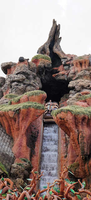 Disney World Magic Kingdom Splash Mountain