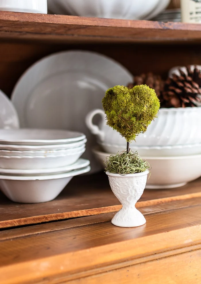 close up mini heart moss topiary, creamy stacks of ironstone, pine hutch