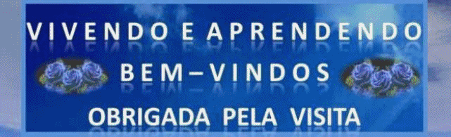 VIVENDO E APRENDENDO