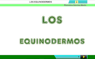  equinodermos