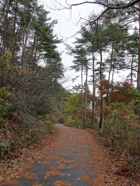 グランソール大山希望ヶ丘 別荘地の道