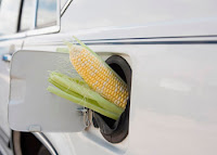 biodiesel para automoviles