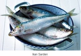 Ikan Sarden