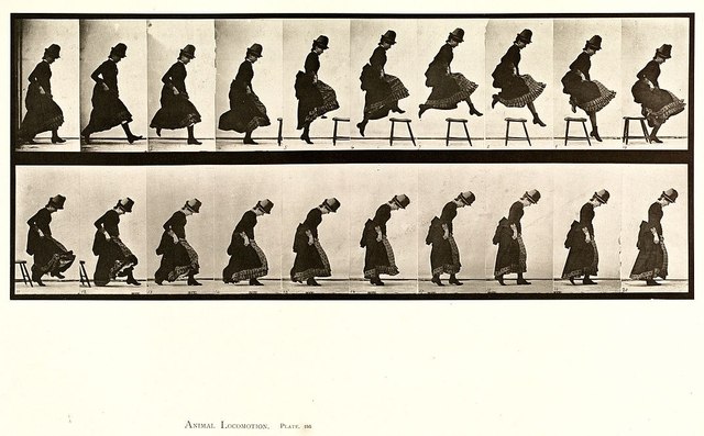 Эдвард Мейбридж | Eadweard Muybridge