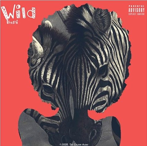 THVMI - THE WILD (EP)