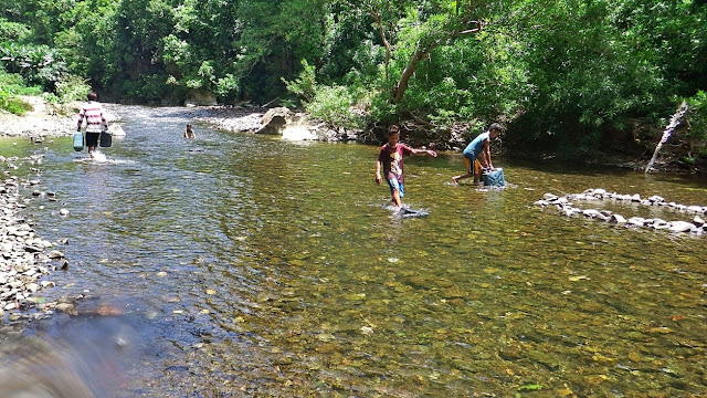 locals drink water from this river on the way to Sohoton Natural Bridge