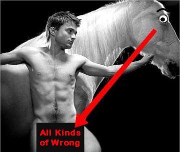 harry potter horse