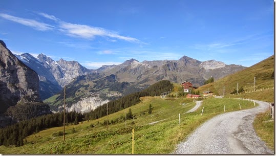 IMG_6299