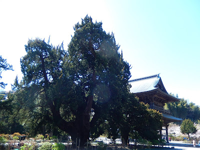 建長寺