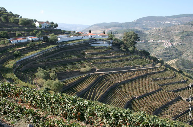 Quinta do Noval