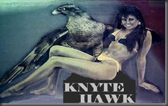 nighthawk6_440