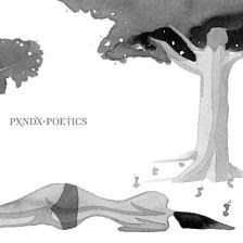Panda Poetics descarga download completa complete discografia mega 1 link