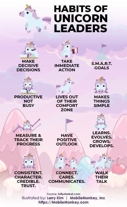 Habits of Unicorn Leaders