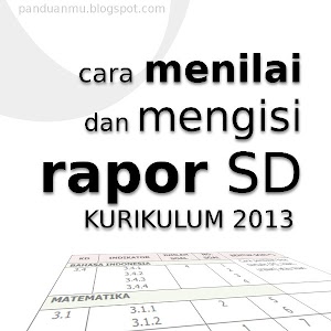 Cara mengisi Lapor SD sesuai Kurikulum 2013