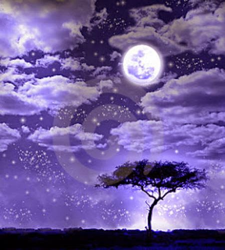 Full Moon Leaves Scorpio