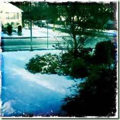 NovSnow