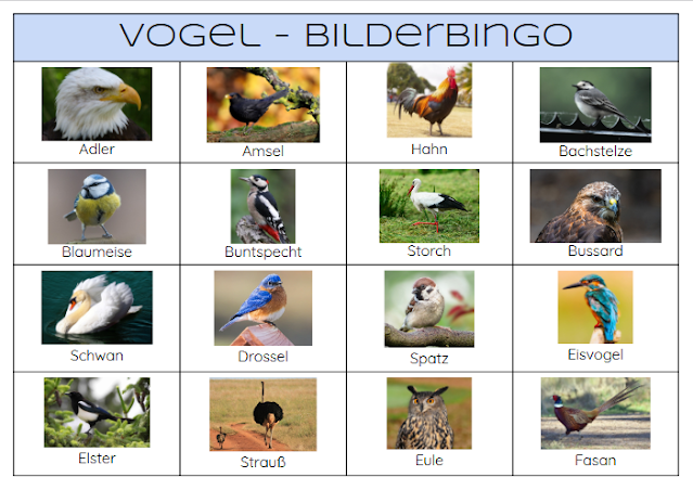 Vogelbilderbingo