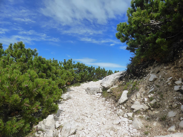 Corno-bianco-dolomiti