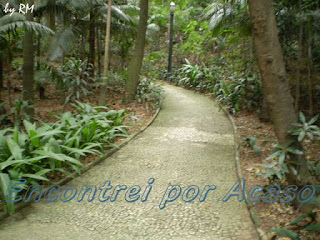 Os caminhos internos do Parque Trianon