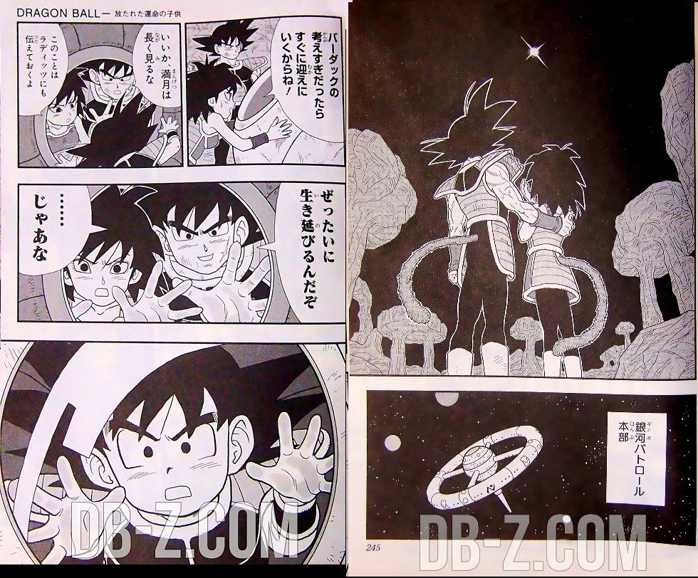 Primeras imágenes de la madre de Goku en Dragon Ball  - imagenes de la madre de goku