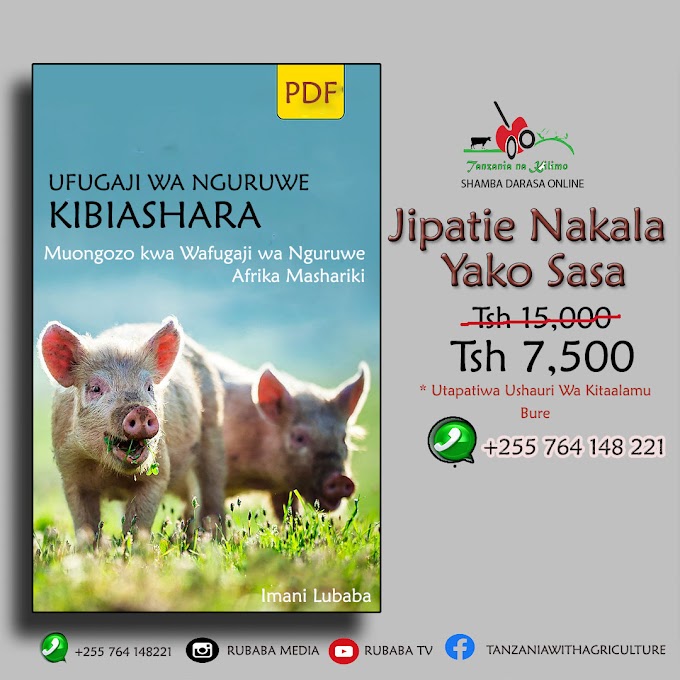 JIPATIE MUONGOZO WA UFUGAJI WA NGURUWE KIBIASHARA