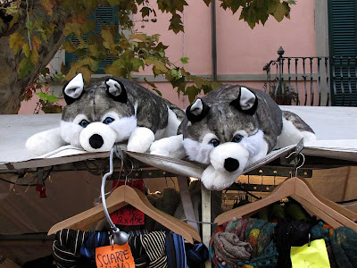 Fluffy huskies, food market, Livorno