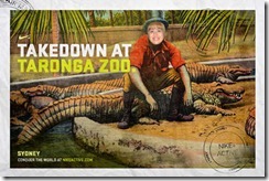 taronga zoo