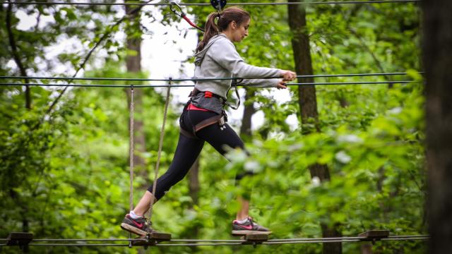 Germany - Kletterwald Wuhlheide, treetop adventure course in Berlin