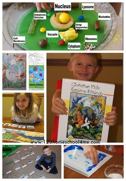 Christian Kids Explore Biology by Bright Ideas Press - a fun, hands on, science curriculum for the whole family