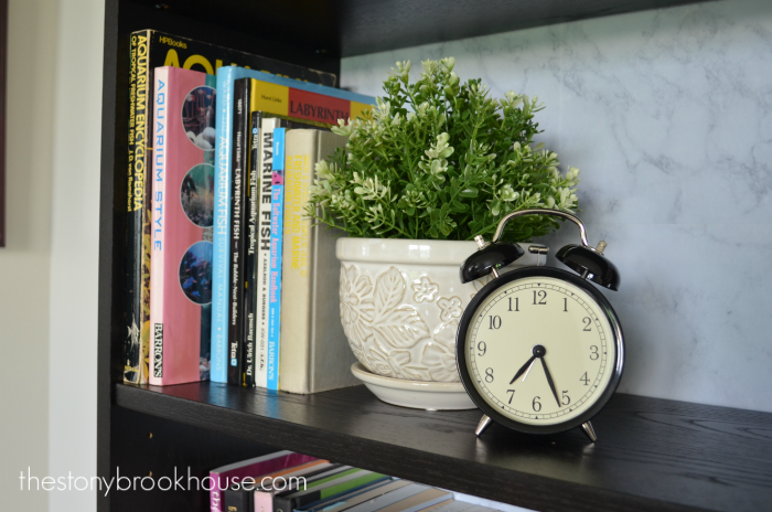 Vintage Bookshelves