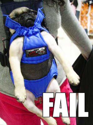 dog fail