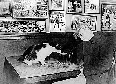 Bowery Follies downtown bar a Cat Drinking Beer