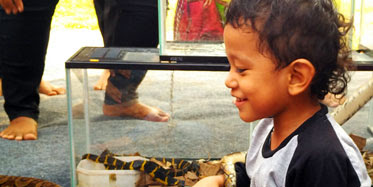 Ngopi Bareng Sahabat Reptil Bekasi Di Rumah Pelangi