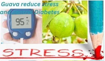 Guava reduce stress and diabetes