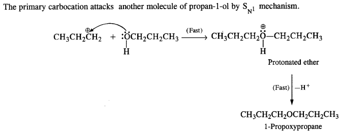 Solutions Class 12 Chemistry Chapter-11 (Alcohols Phenols and Ether)