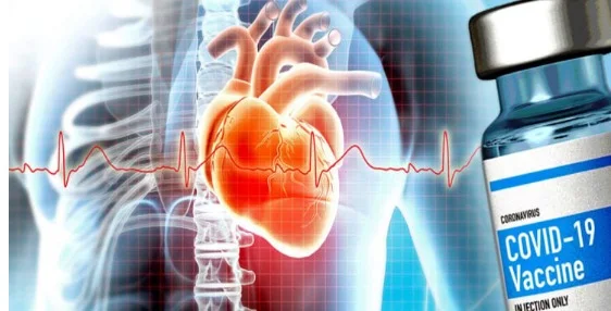 Desintoxicação Pós-Vacina: Como Limpar a Proteína Spike do Corpo