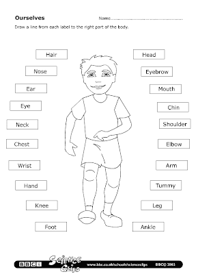 parts of the body worksheet learningenglish esl